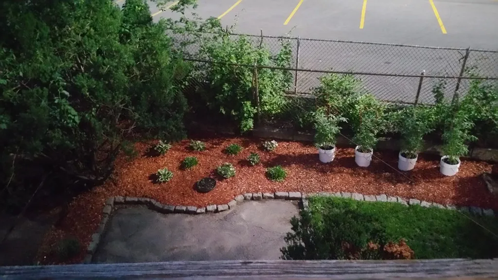 60 Homer Ave, West Cambridge