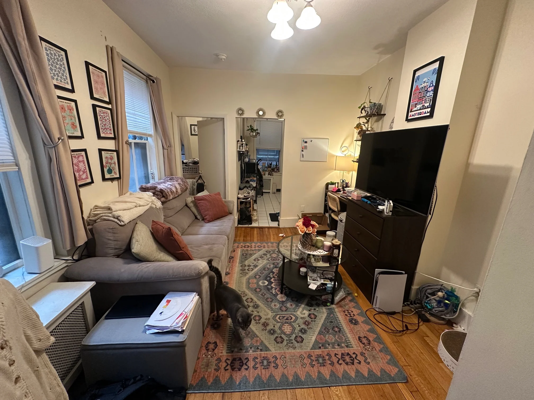 11 Irving St, Beacon Hill