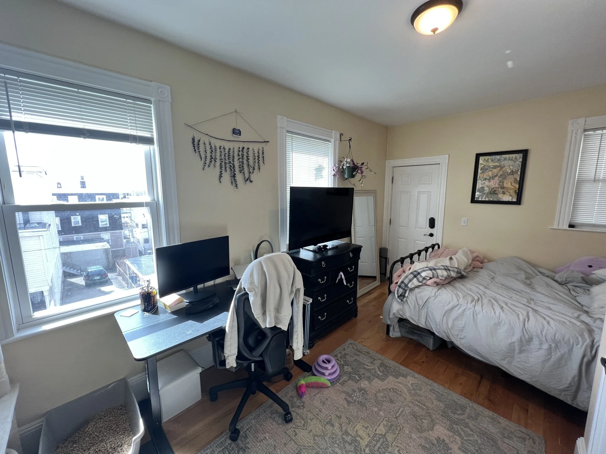 48 Lowell St, Spring Hill