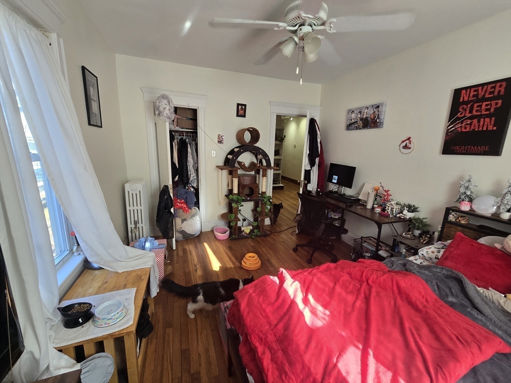 38 Hillside St, Mission Hill