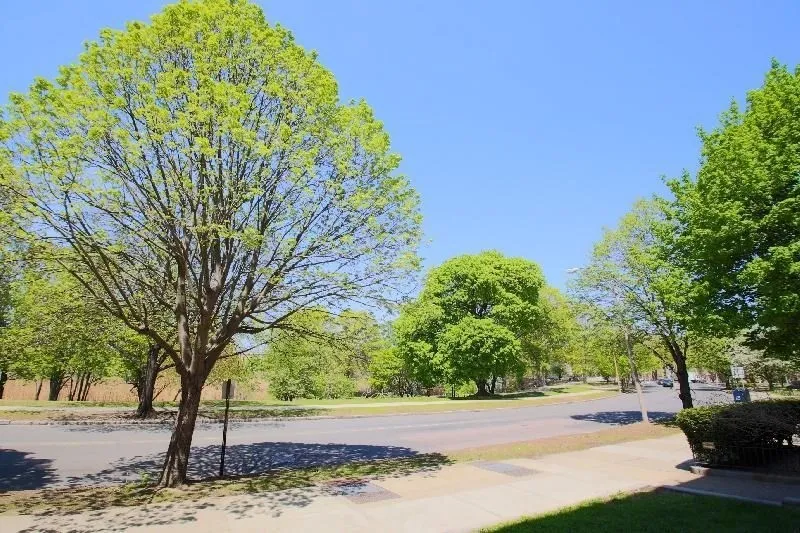 44 The Fenway, Fenway