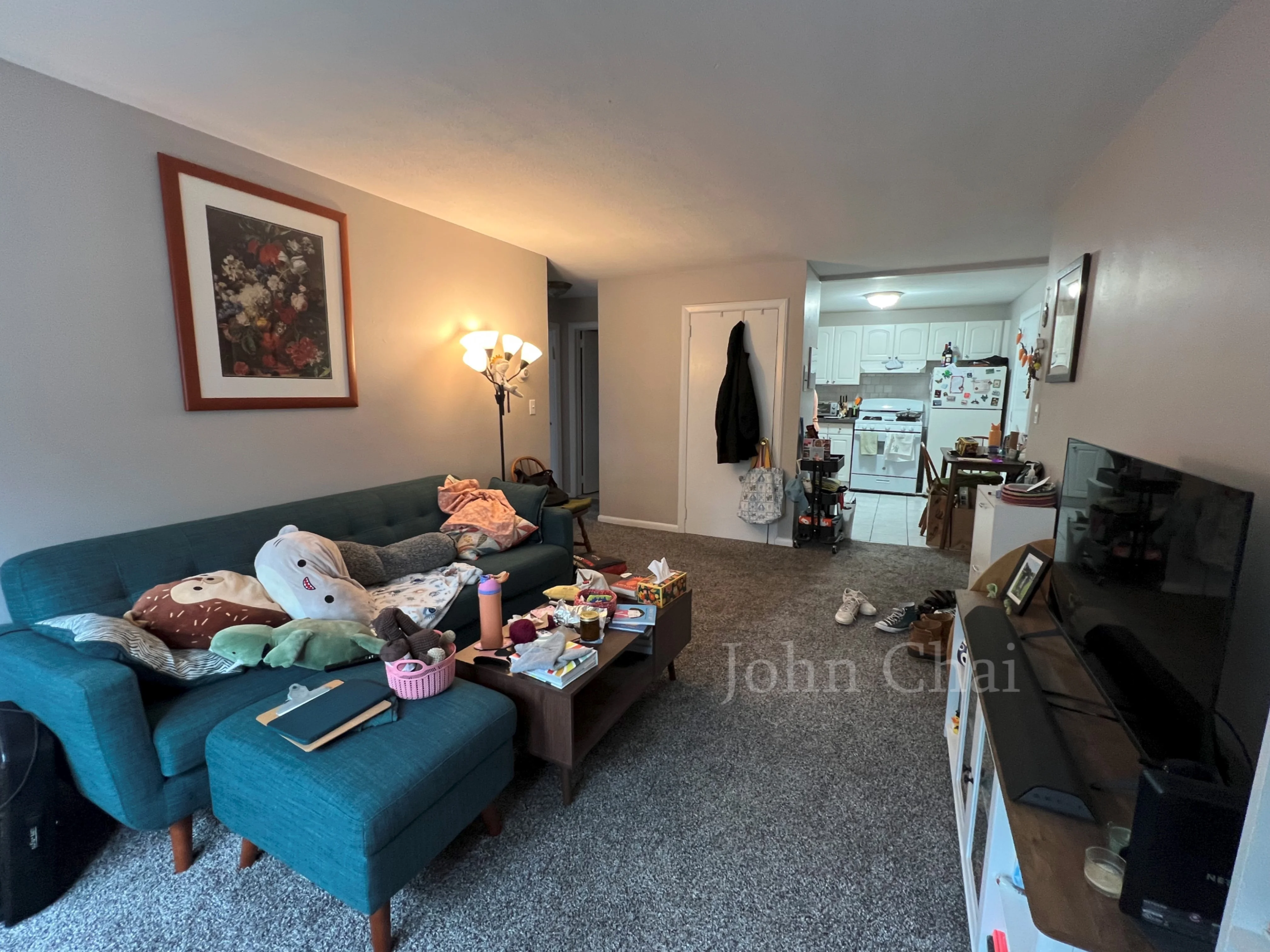 39 Shepard St, Brighton