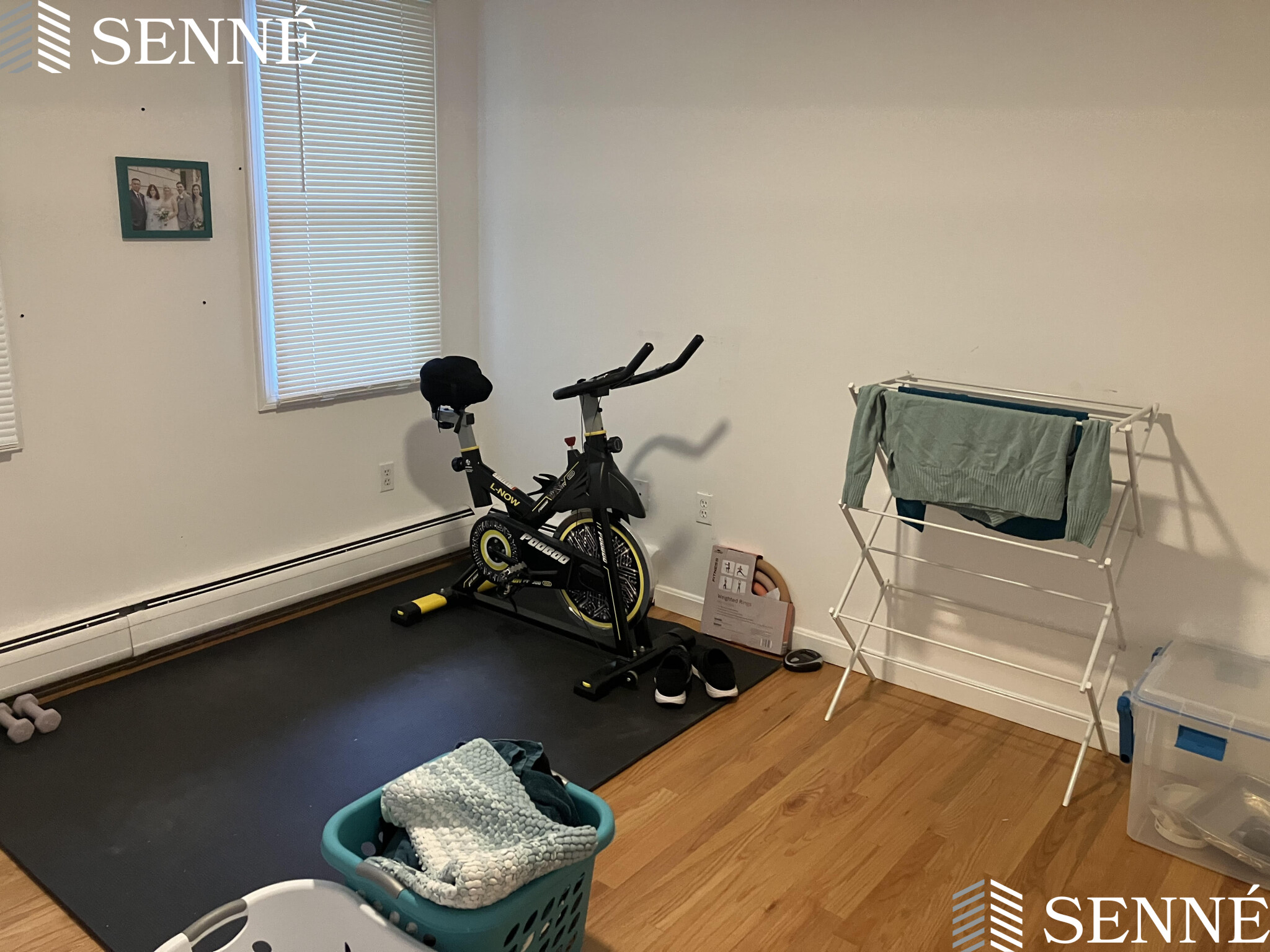 26 Thorndike St, Davis Square