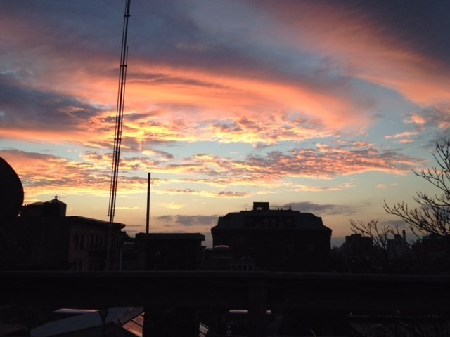 11 Phillips, Beacon Hill