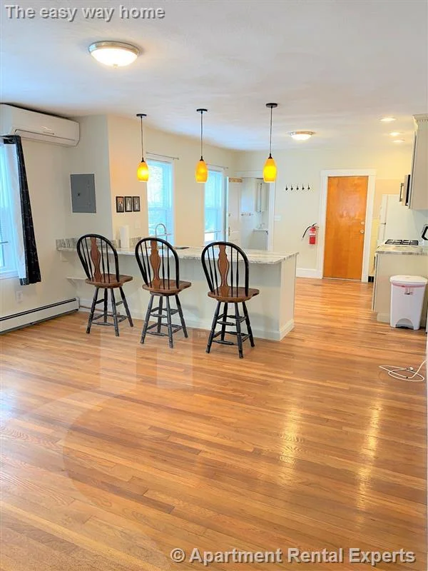 167 Harvard St, Tufts