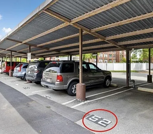 20 Hammond Pond Pkwa, Chestnut Hill