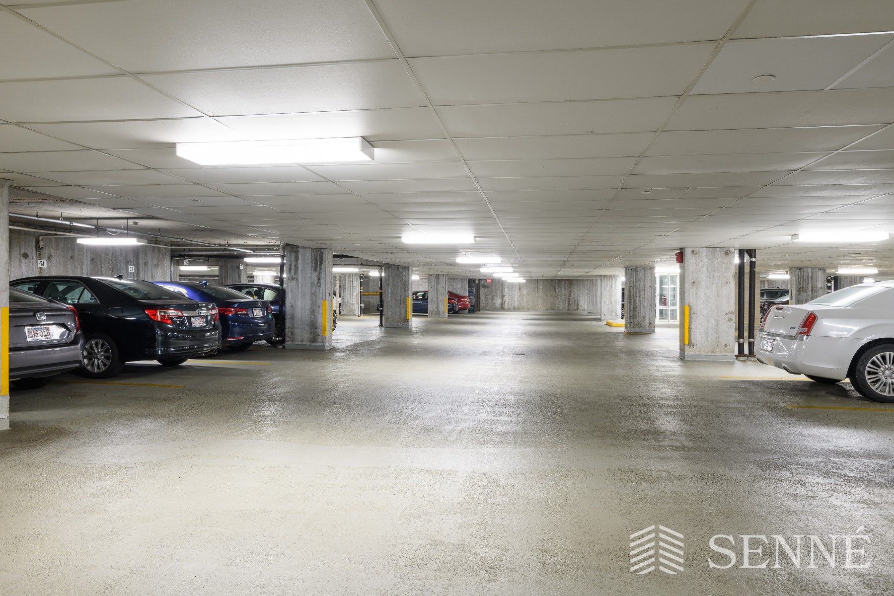 950 Massachusetts Ave, Harvard Square