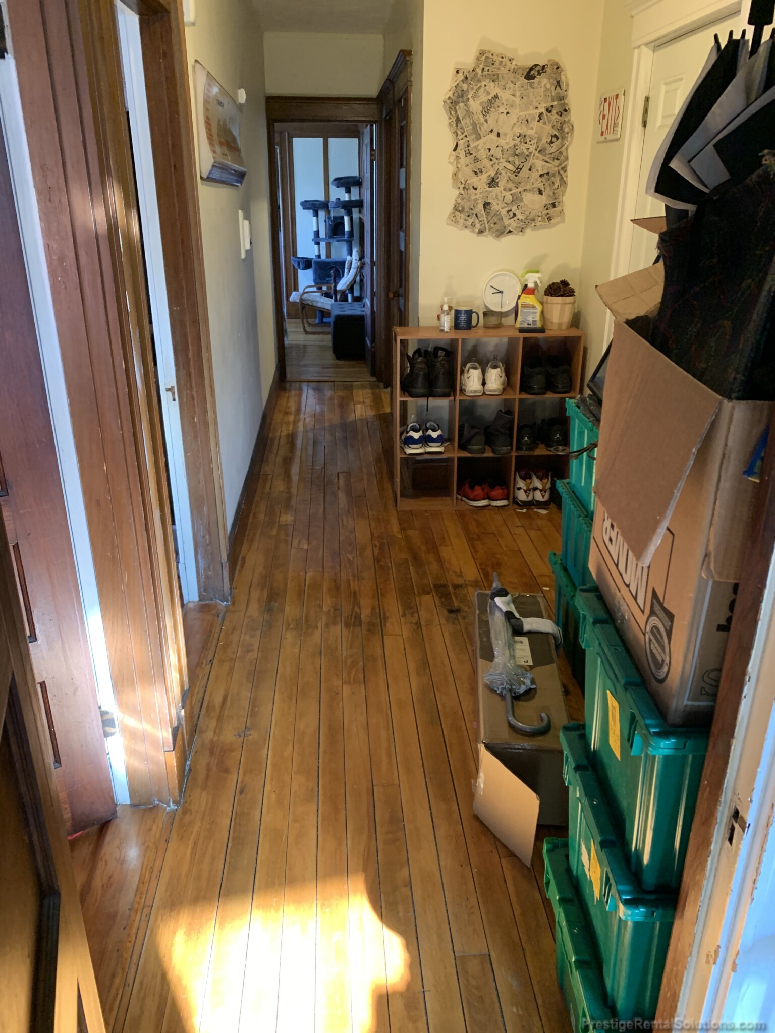 218 South St, Jamaica Plain