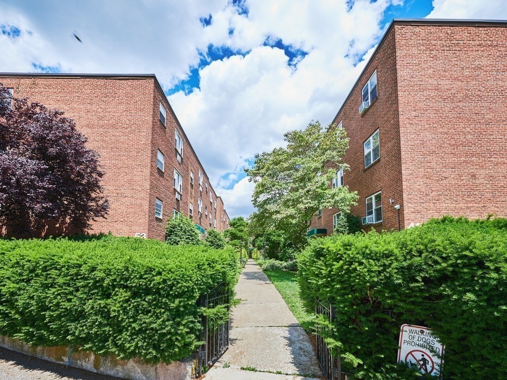 49 Colborne Rd, Brighton