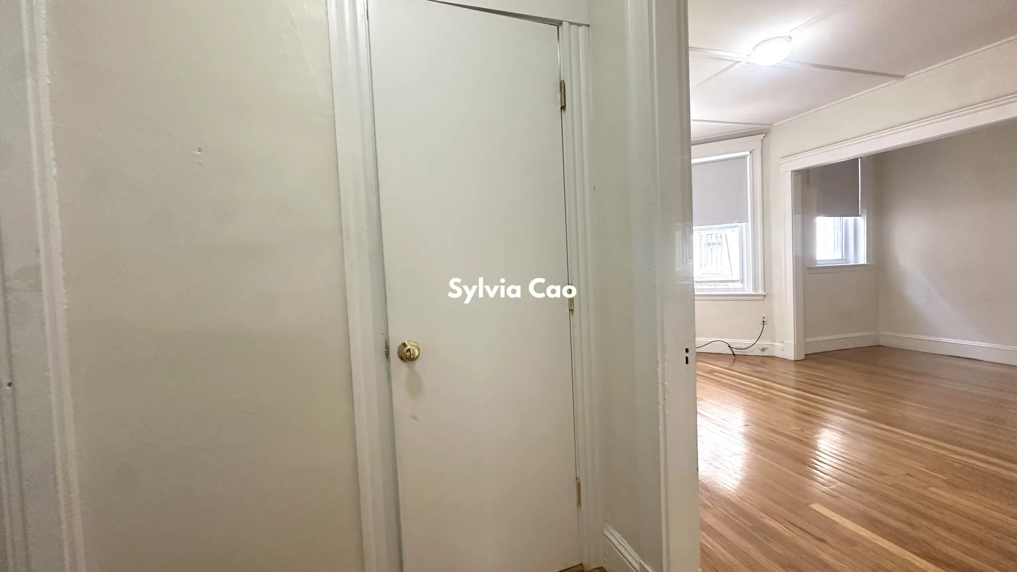 1175 Boylston St, Fenway
