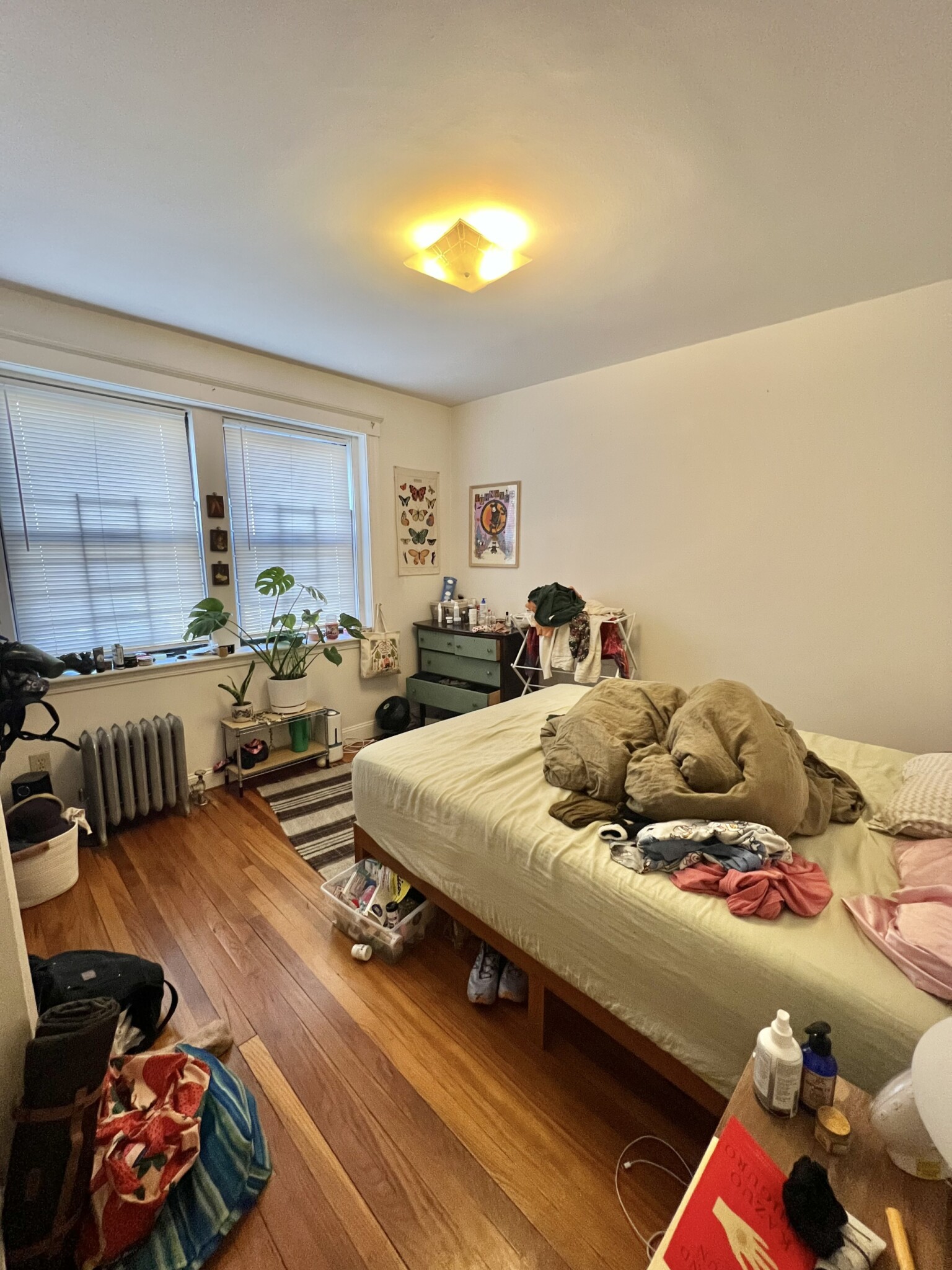 4 bed, 2 bath apartment for rent at 19 Egremont Rd Unit 1, Brighton — photo 1 of 3