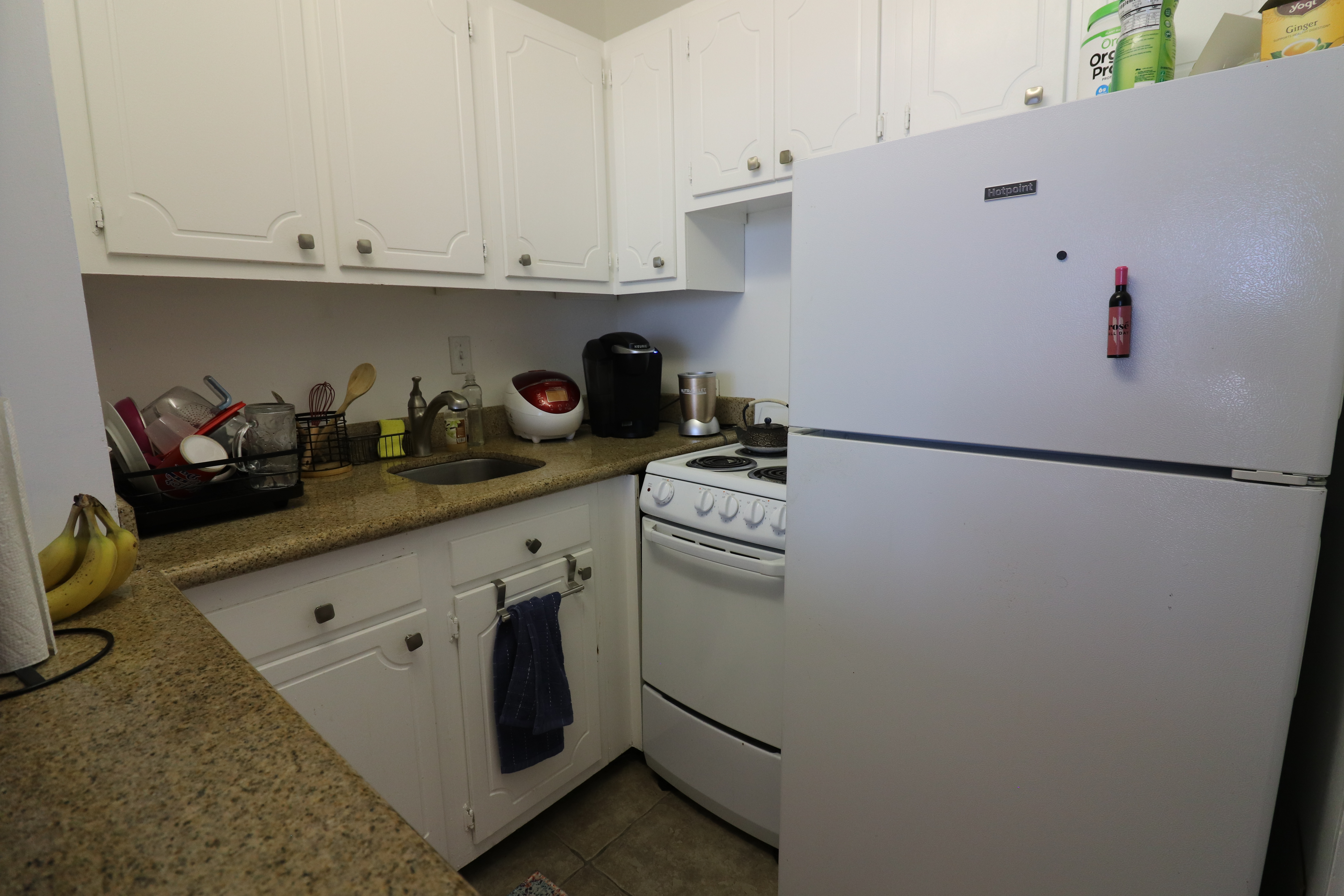 19 Winchester St, North Brookline