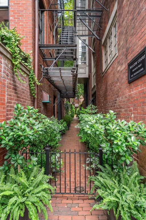 9 Willow St, Beacon Hill