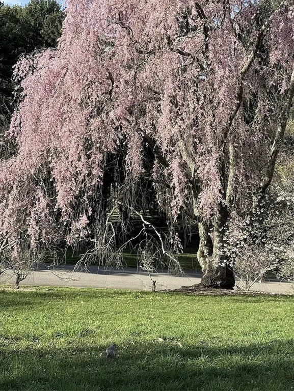 34 Colgate Rd, Roslindale