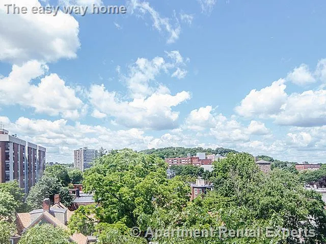31 Harris St, Other