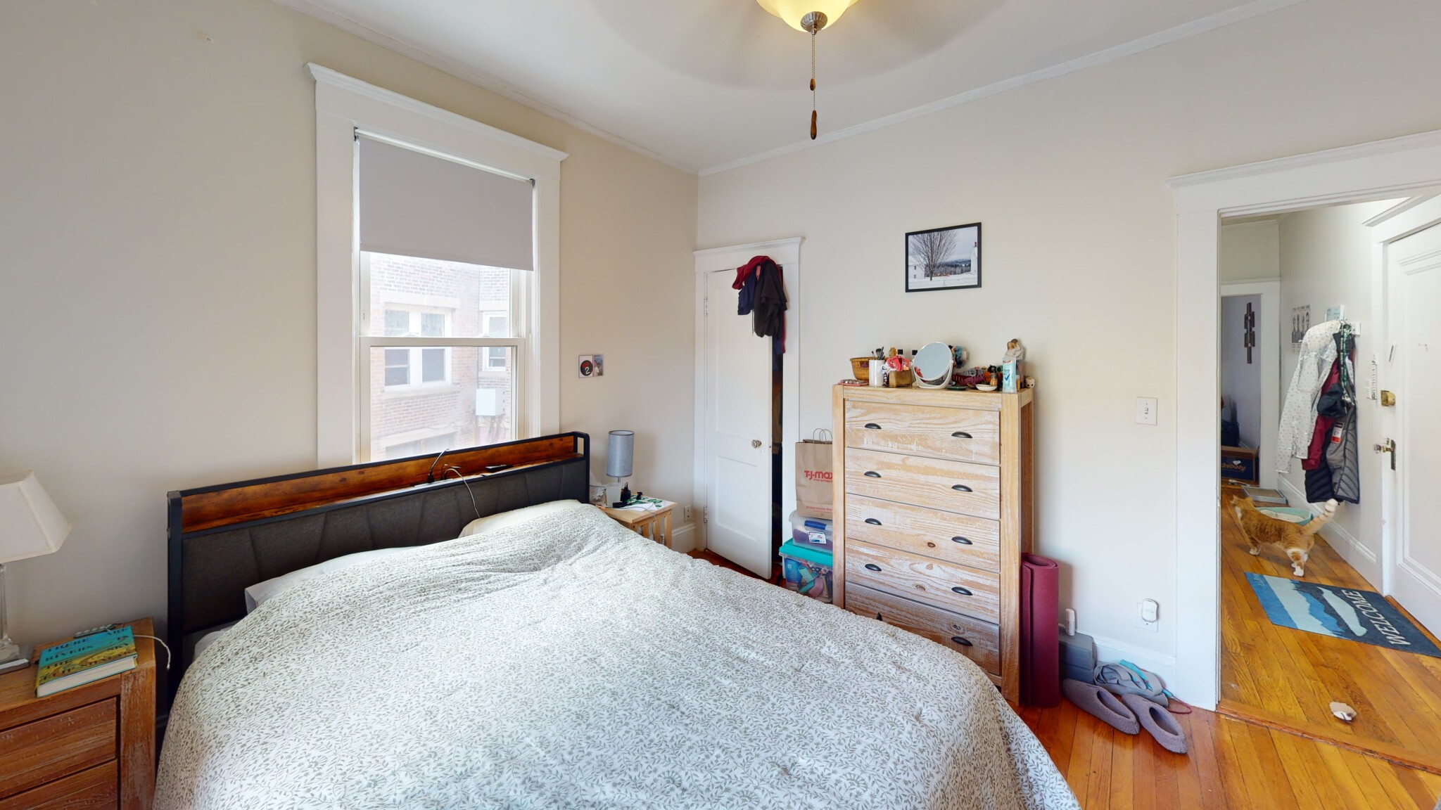 7 Scottfield Rd, Allston