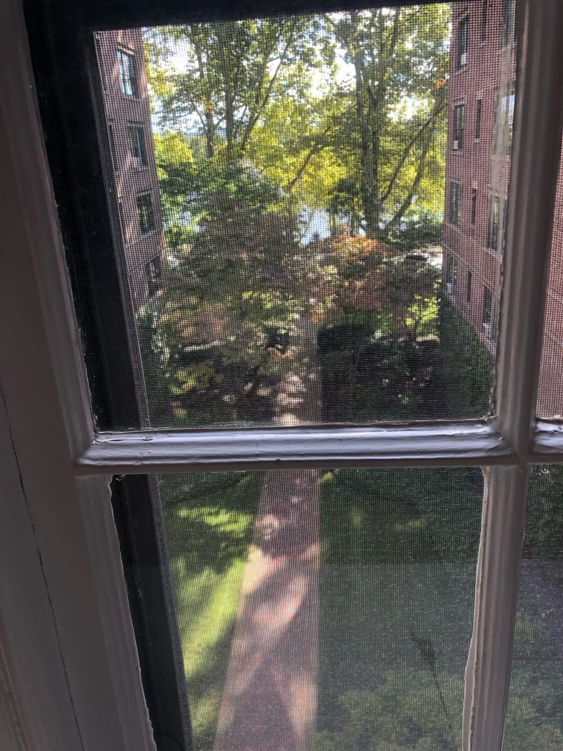 988 Memorial Dr, West Cambridge