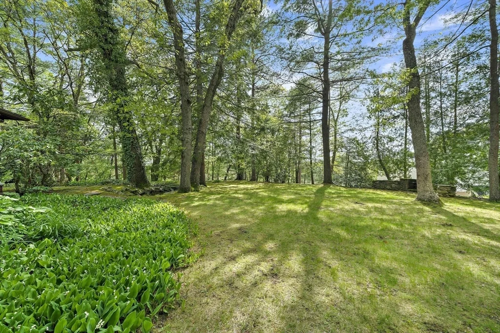 19 Ridge Rd, Newton