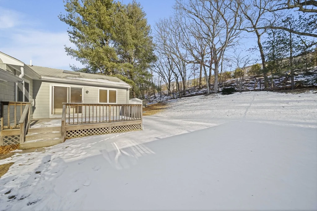 55 Evelyn Rd, Needham