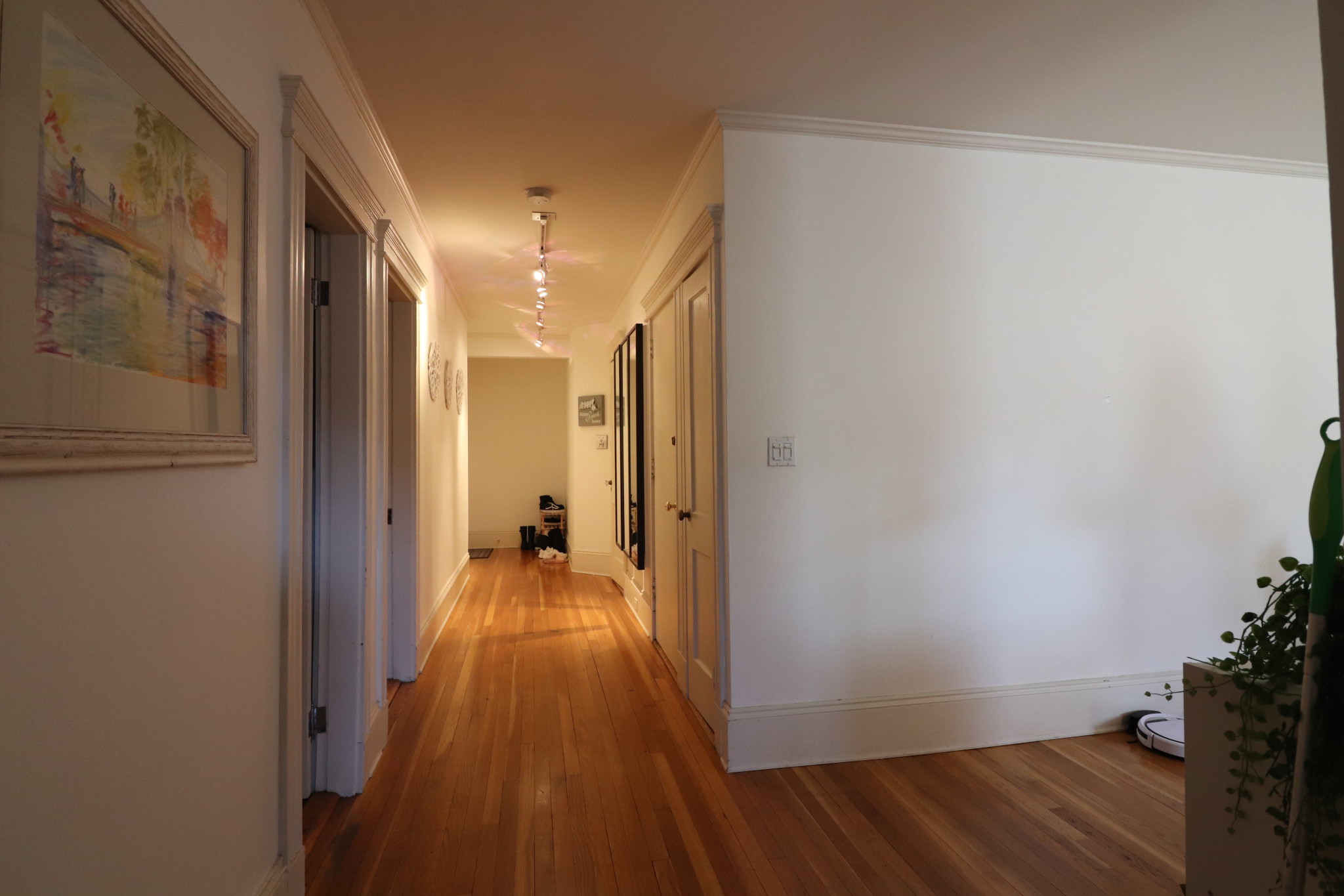 2 bed, 1 bath apartment for rent at 194 Saint Paul St Unit 4, Coolidge Corner — photo 6 of 16
