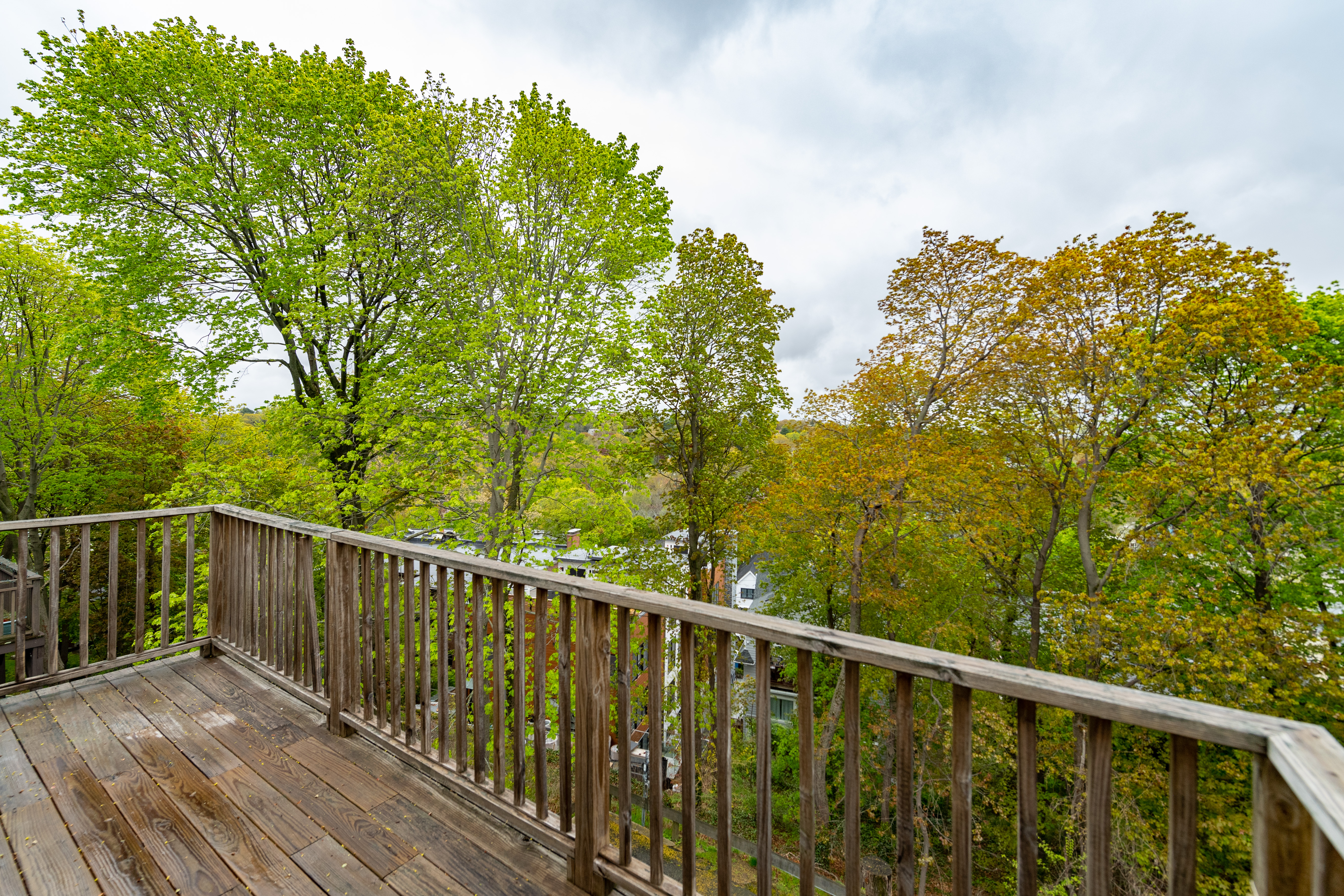 4 bed, 3 bath apartment for rent at 198 Rawson Rd Unit 2, Brookline Hills — photo 20 of 25