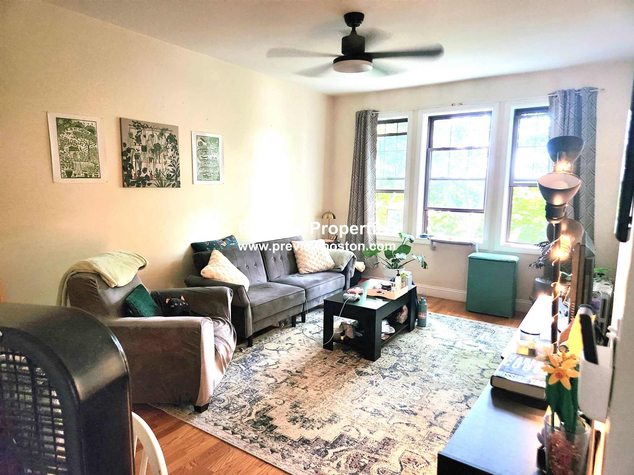 1999 Commonwealth Ave, Brighton