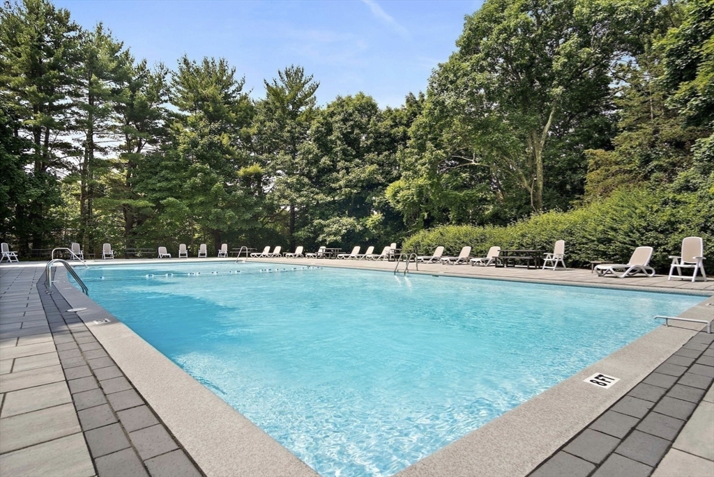 54 Jacqueline Rd, Waltham