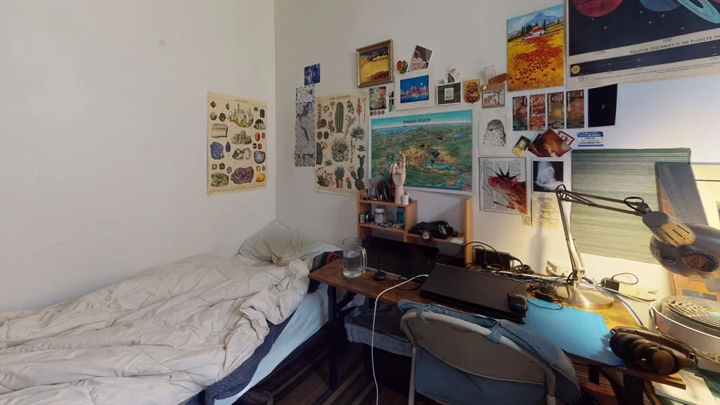 36 Mozart, Jamaica Plain