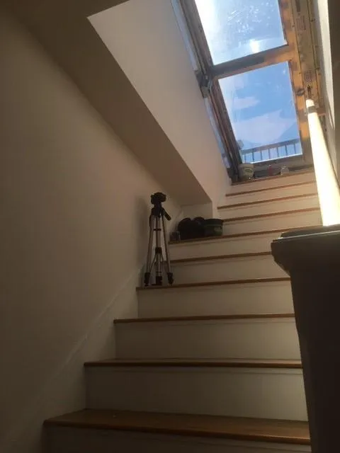 11 Highland Park Ave, Roxbury