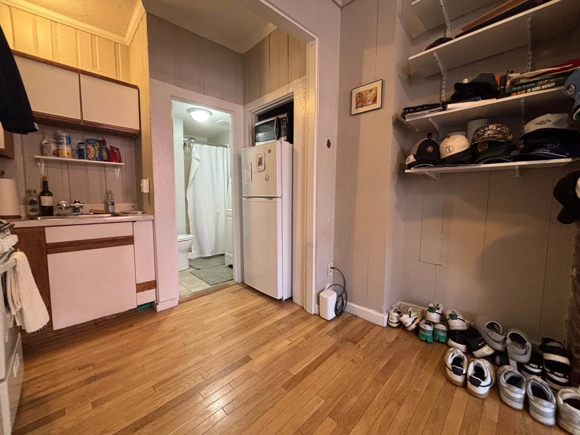 64 Myrtle St, Beacon Hill