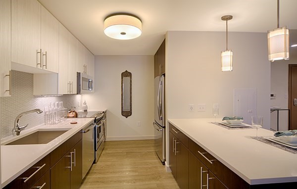 1 bed, 1 bath apartment for rent at 1 Canal St Unit 633, North End — photo 2 of 11