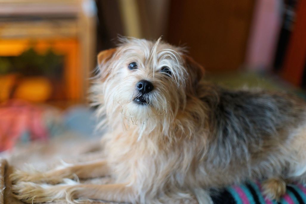 2 bed, 2 bath apartment for rent at 250 Station Cir Unit 3-3306, Dedham — photo 3 of 5