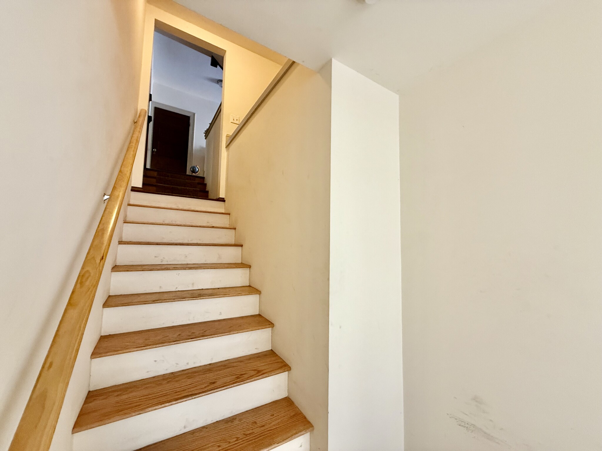 58 Englewood Ave, Brighton