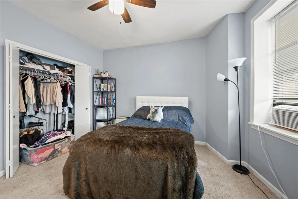 141 Emerson St, South Boston