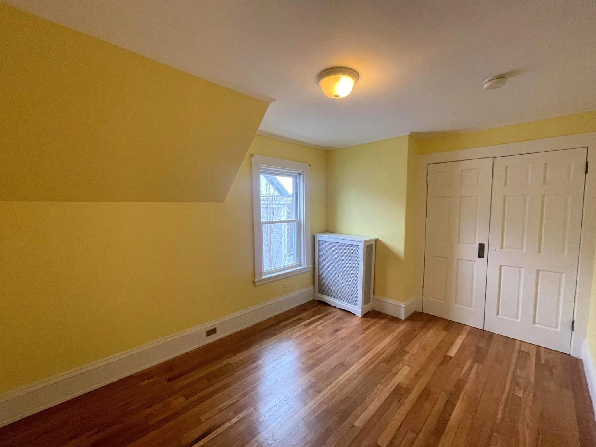 19 Porter St, Spring Hill