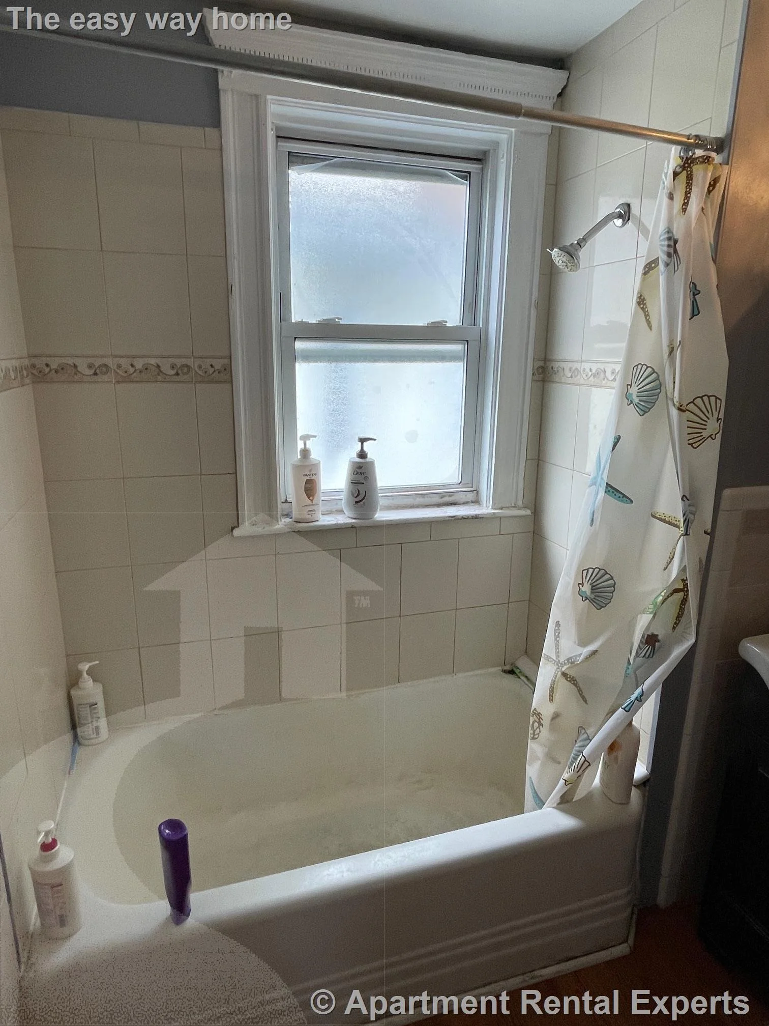 97 Morrison Ave, Davis Square