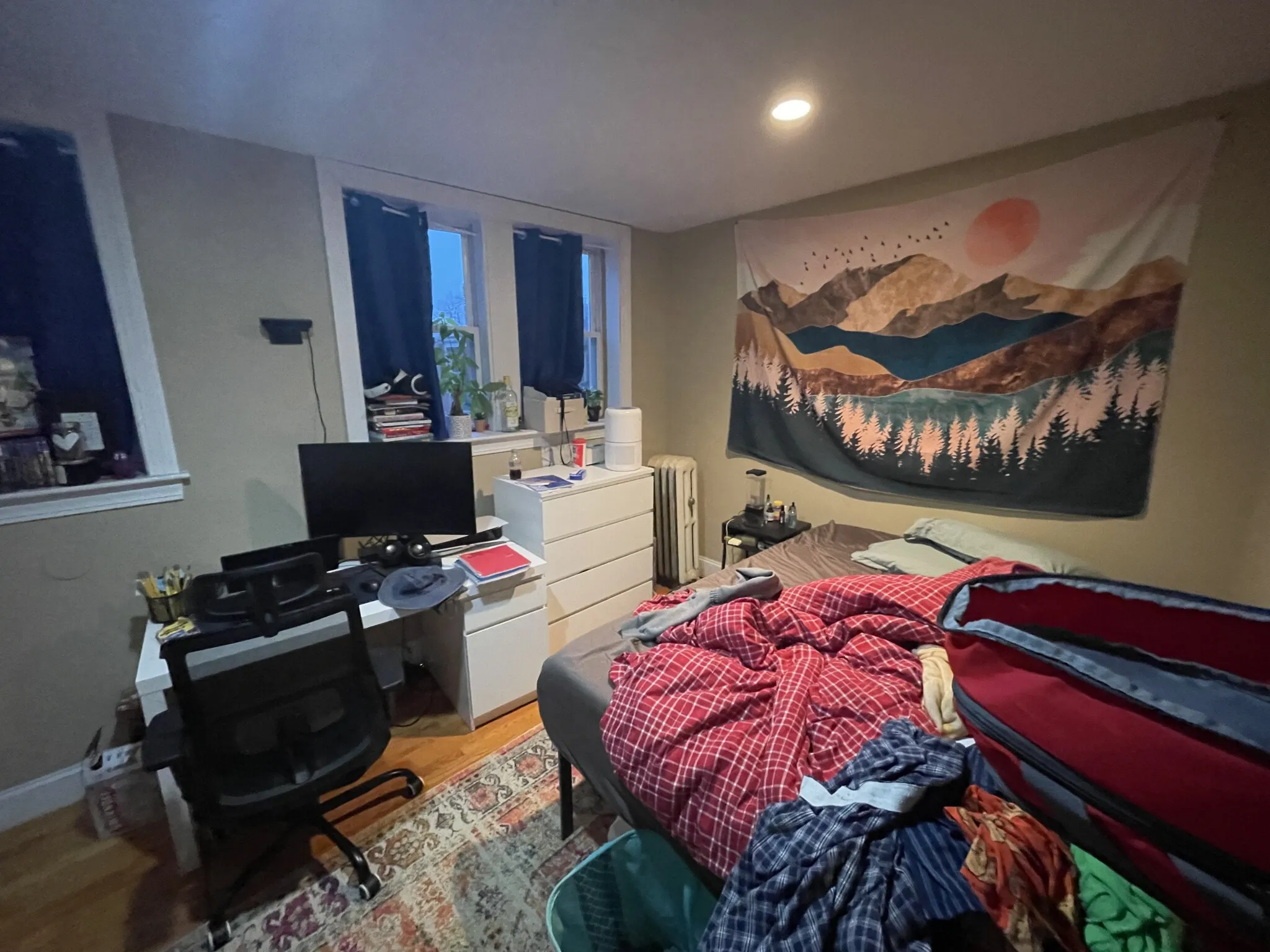 76 Egmont St, North Brookline