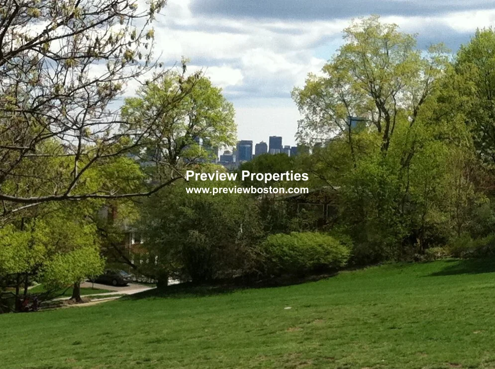 229 Kelton St, Brighton