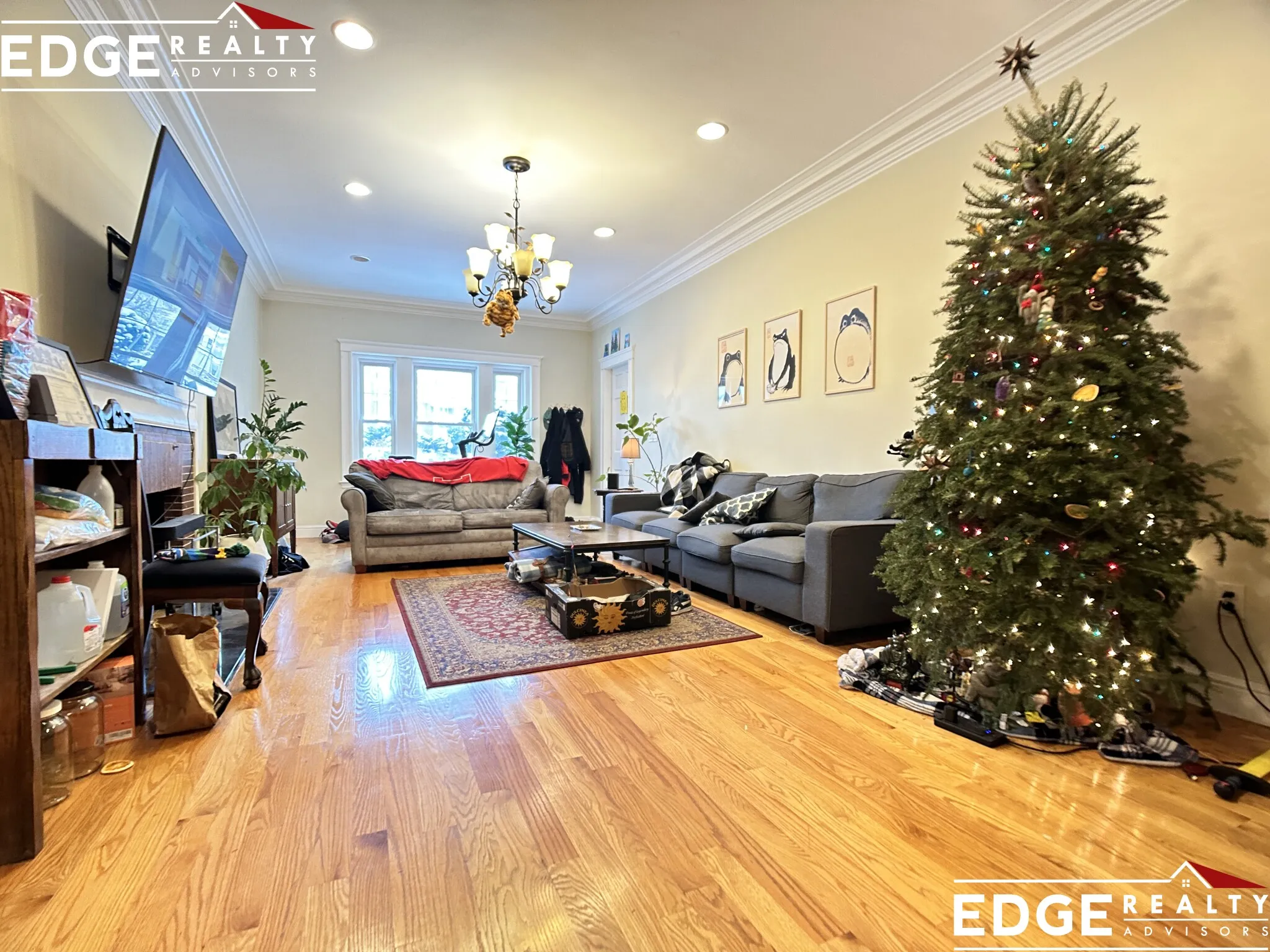 64 Corey Rd, Brighton