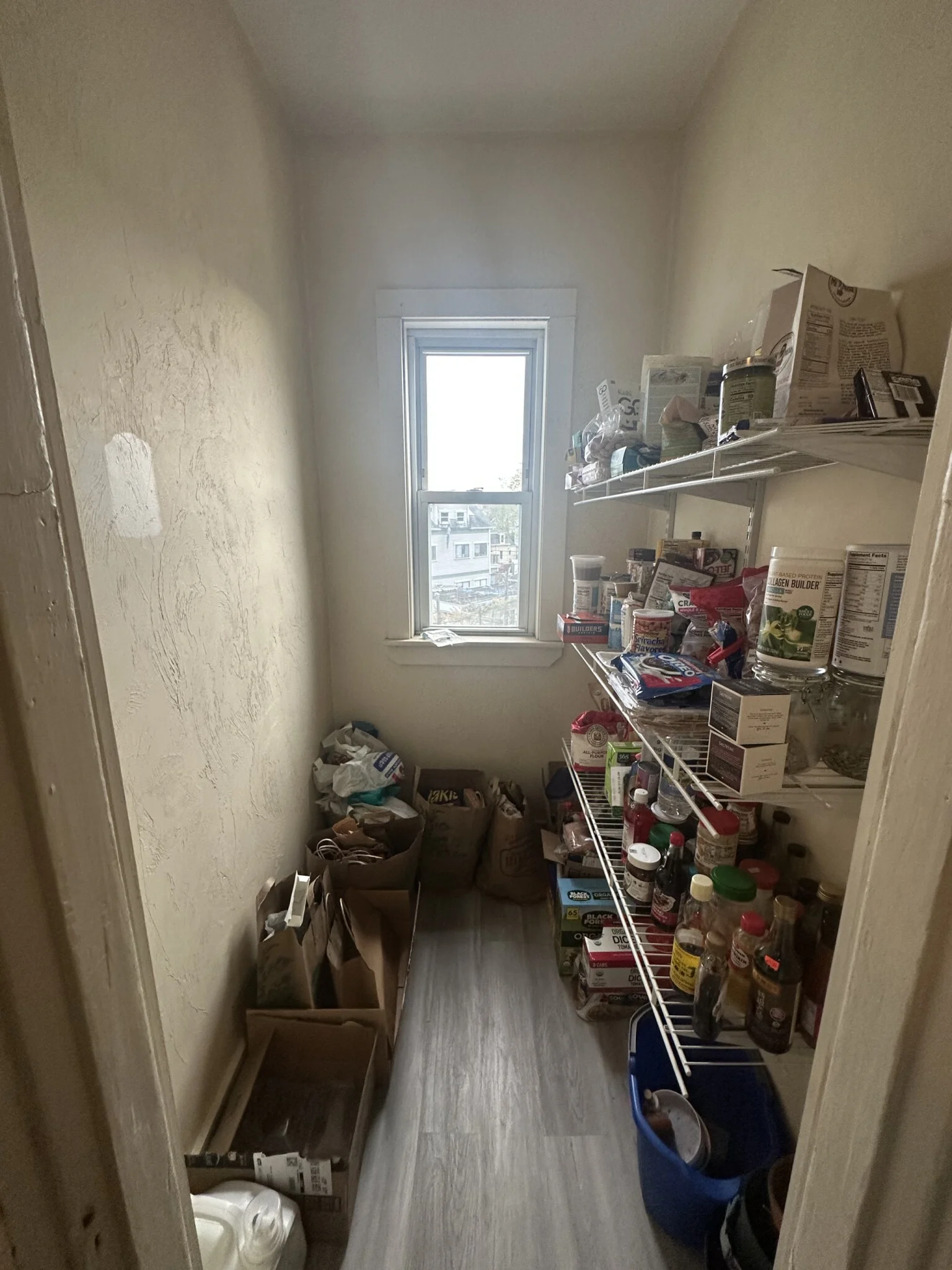 61 Webster Ave, Ward Two