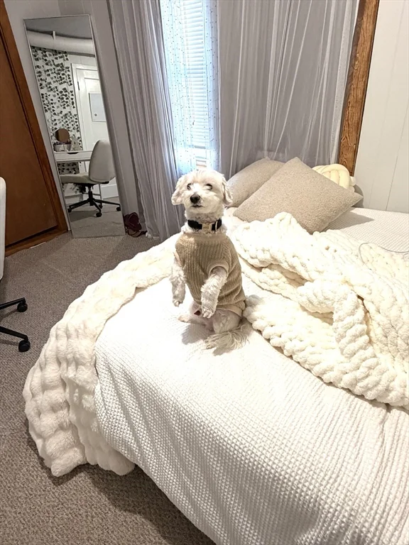 75 Lincoln St, Waltham