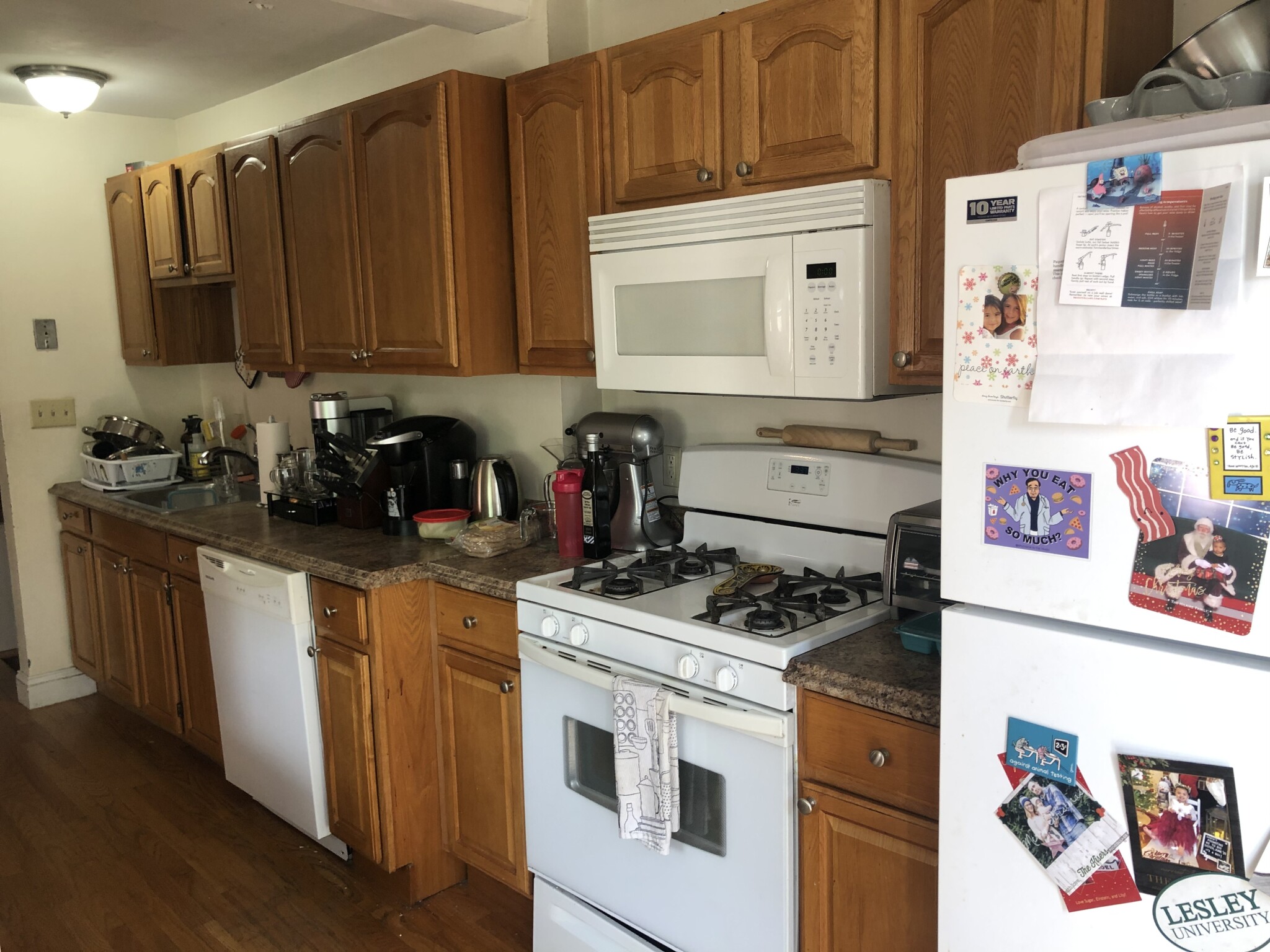 12 Abbey Rd, Lower Allston