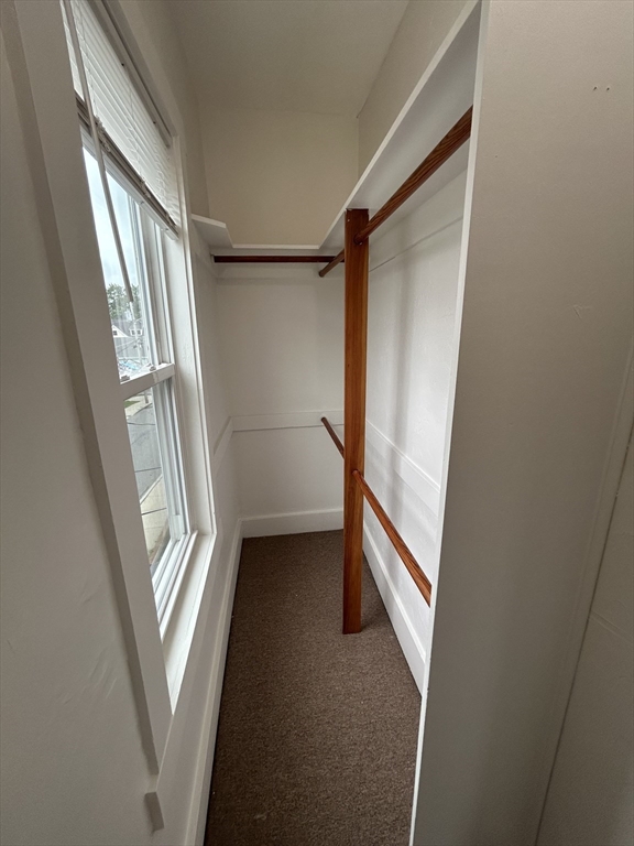 20 Gibbon St, Marlborough