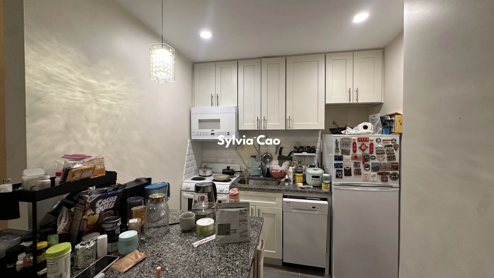 56 Brighton Ave, Brighton