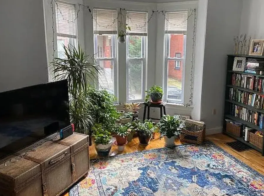 46 Florence St, East Somerville