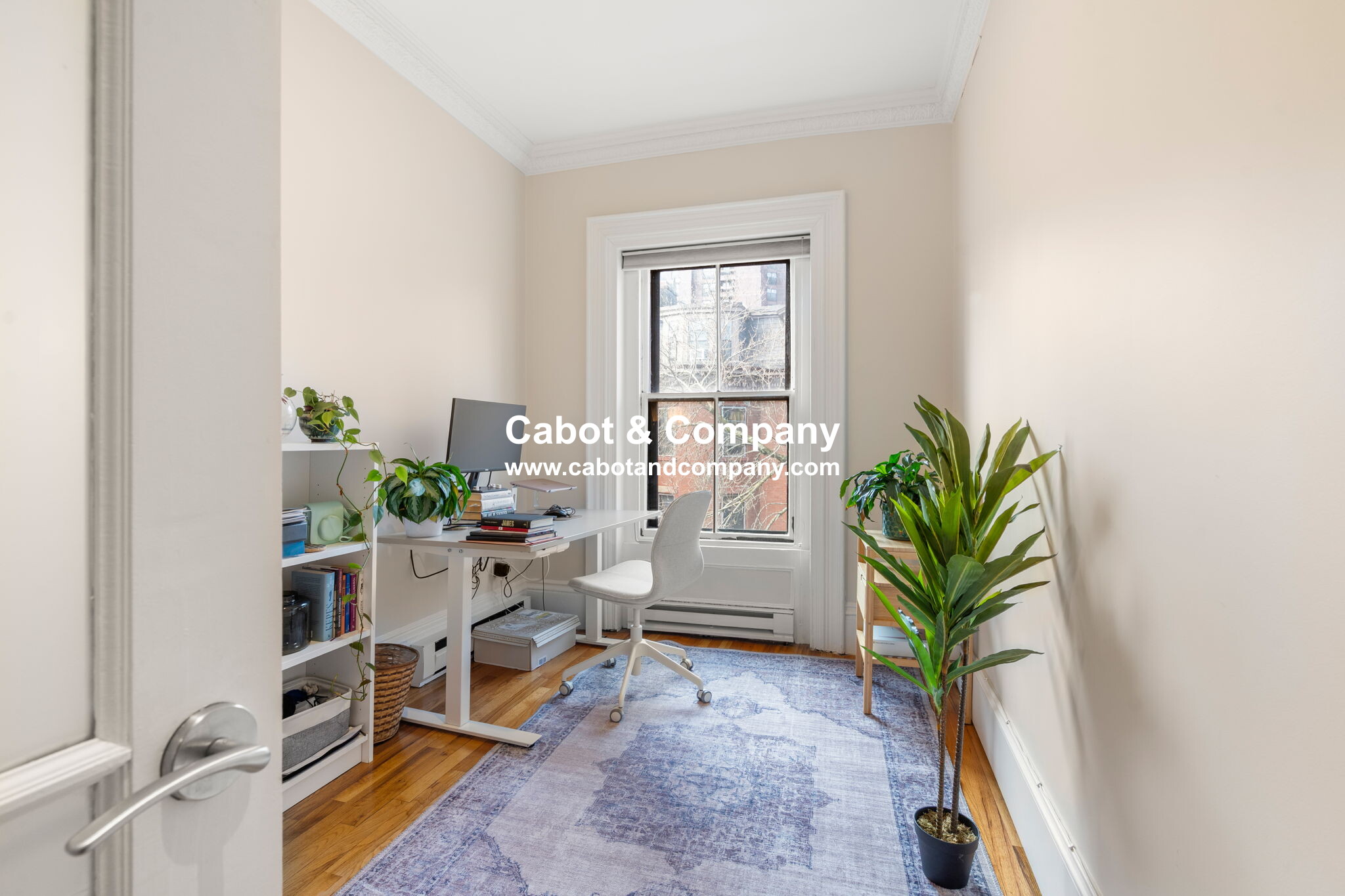 31 Upton St, South End