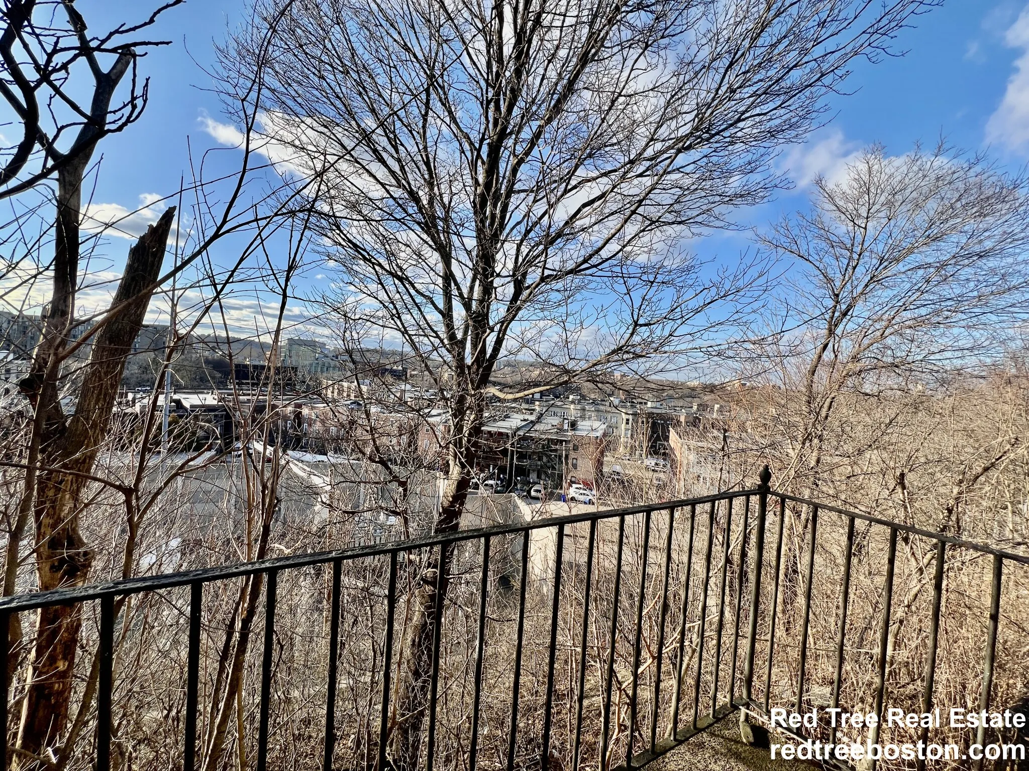 16 Copenger St, Mission Hill