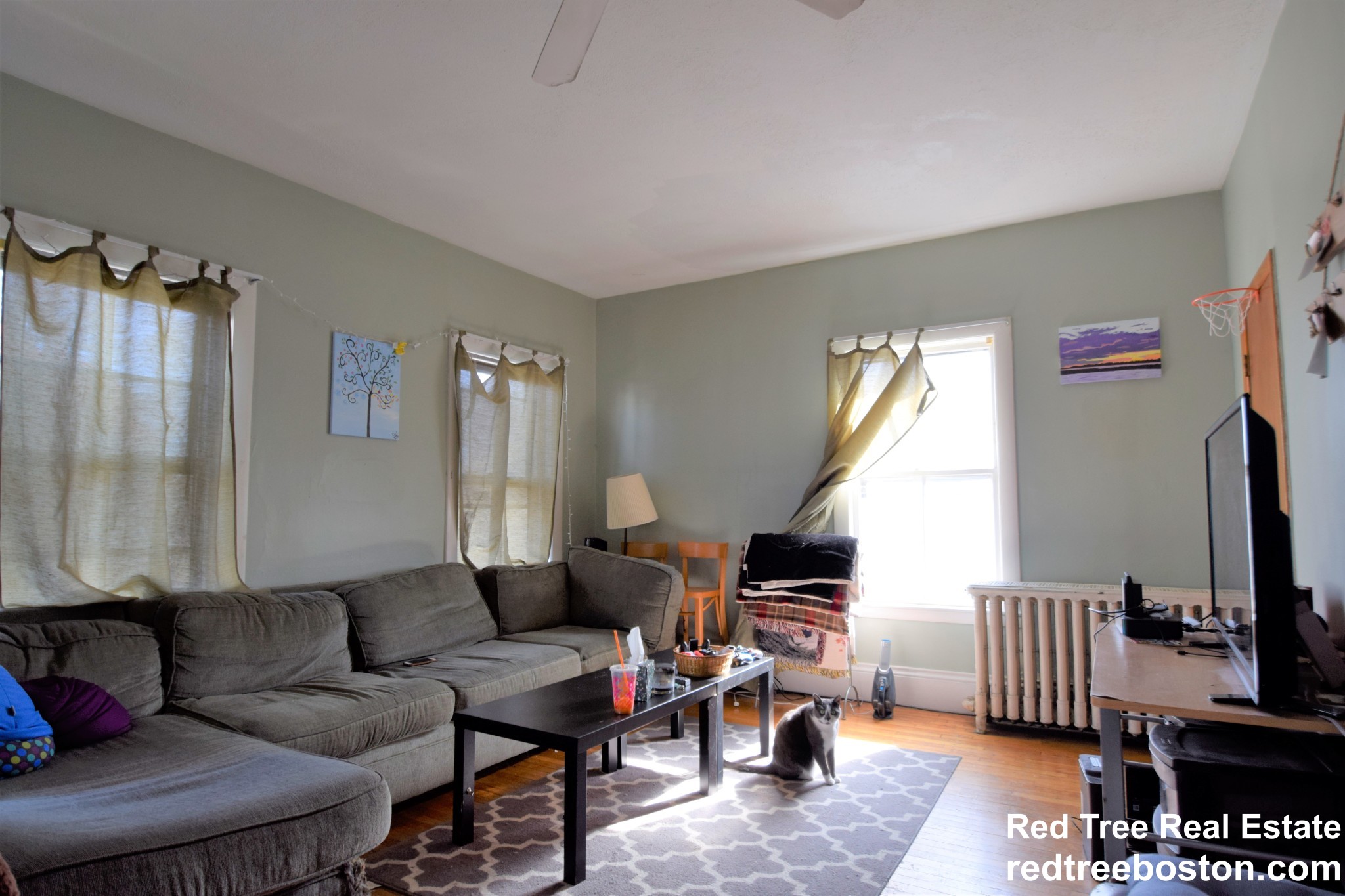 3 Foster St, Brighton