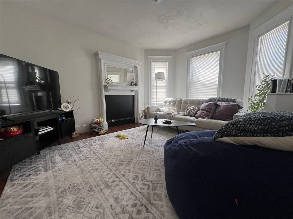 229 Belmont St, Belmont