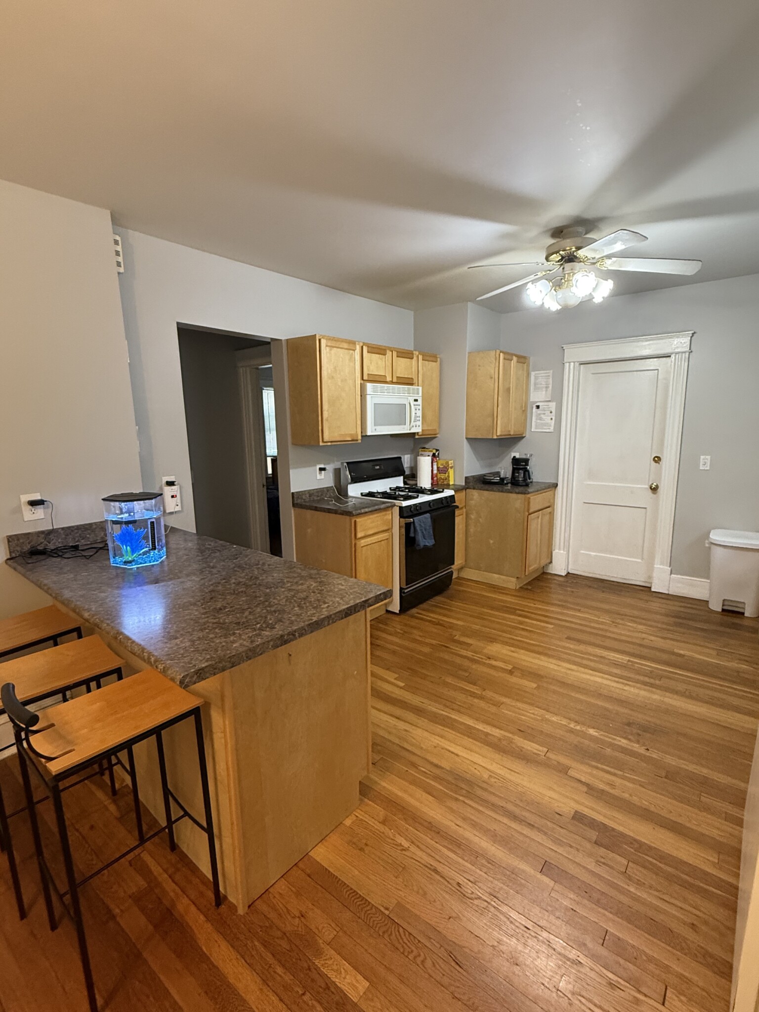 33 Purvis St, Watertown